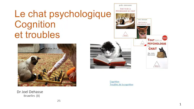 36 psy cognition et troubles