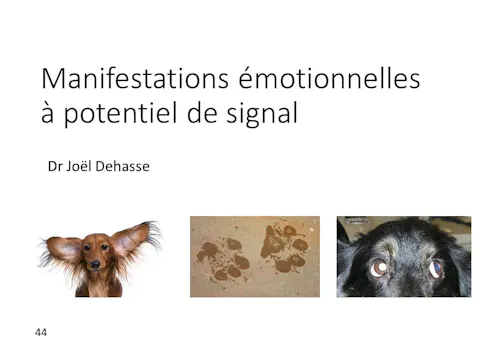 FCCC-3.22-Manifestations émotionnelles