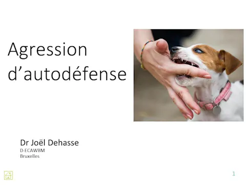 FCCC4.10 - Agression d'autodéfense