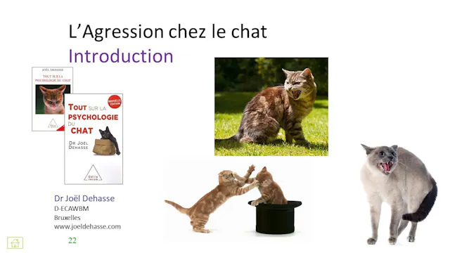 17 agression introduction