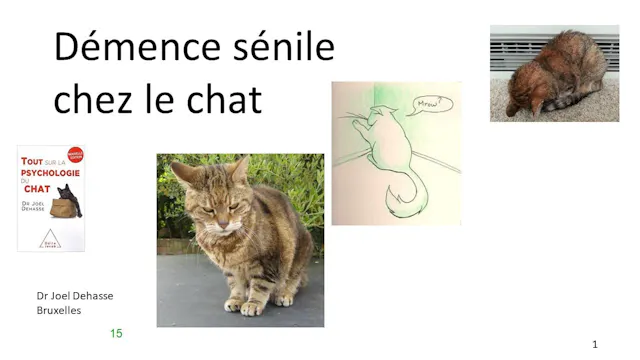 44 démence sénile
