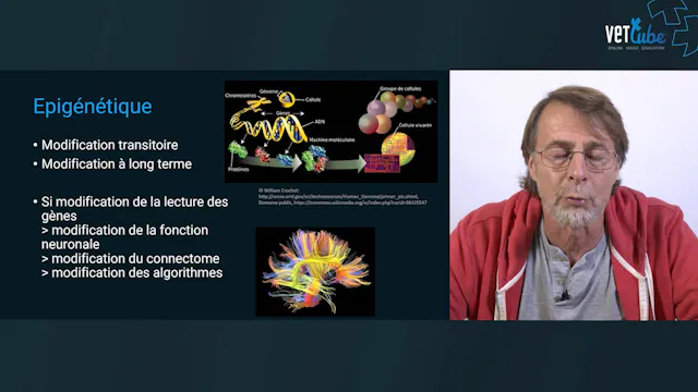 4 psychotropes épigénétiques