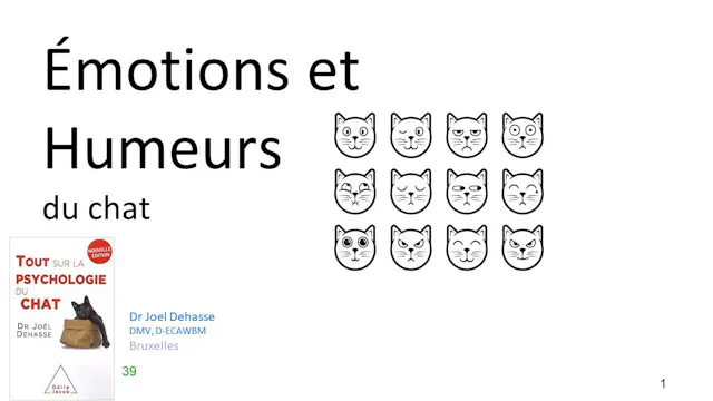 35 psy émotions humeurs