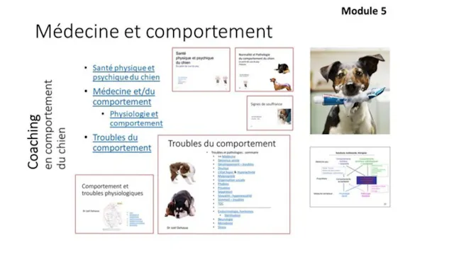 FCCC-Médecine (2020)