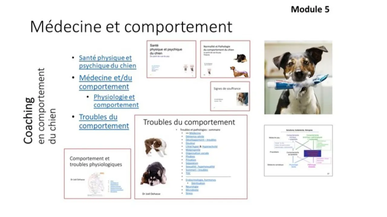 FCCC-Médecine (2020)