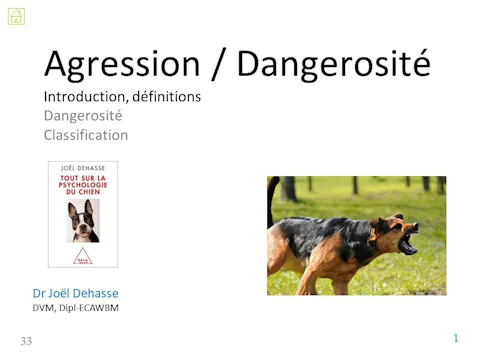 fccc4.01 - Agression Introduction