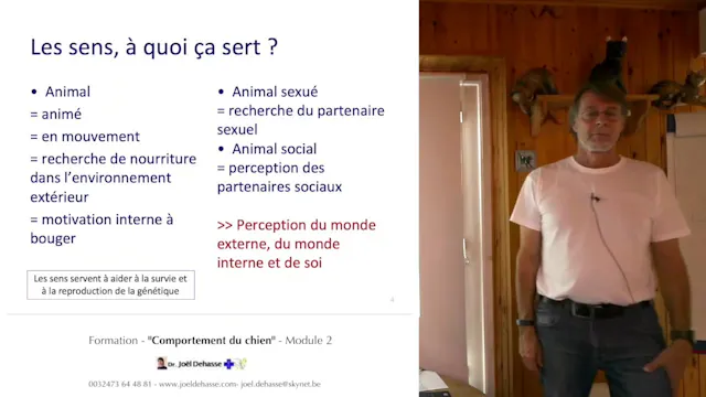 FCCC-2.6-Sensorialité