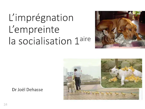 FCCC-3.7-Imprégnation