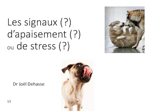 FCCC-3.23-Signaux d'apaisement