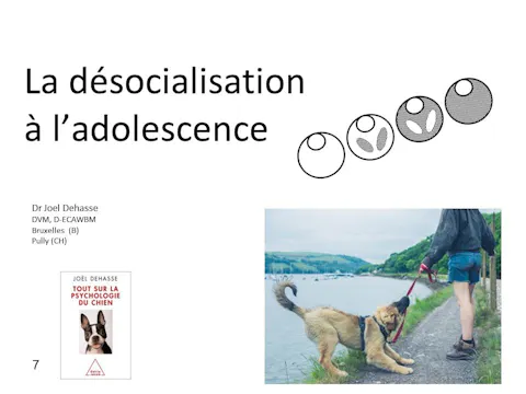 FCCC-3.9-Désocialisation