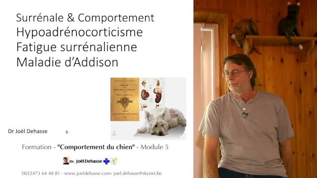 fccc5.11 - Maladie d'Addison