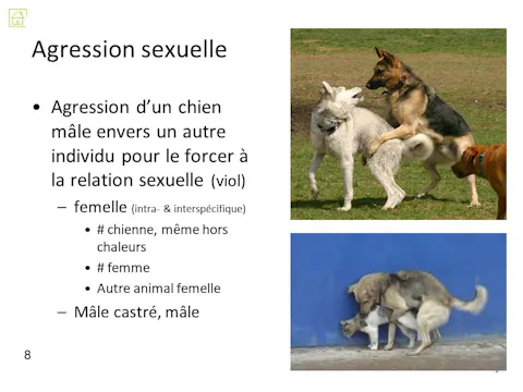 FCCC4.09 - Agression sexuelle
