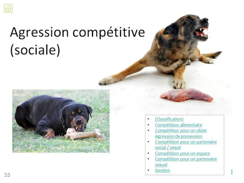 FCCC4.07a - Agression compétitive