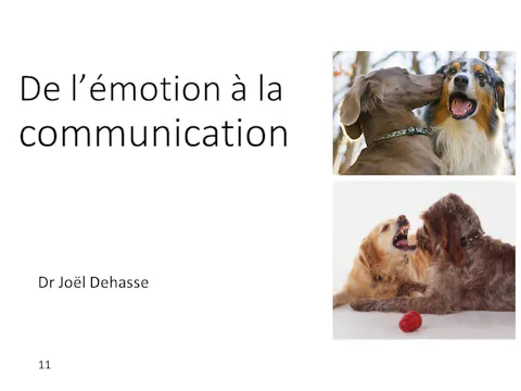 FCCC-3.21-De l'emotion à la communication