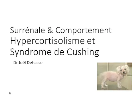 fccc5.12 - Maladie de Cushing