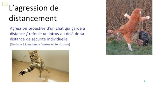27 agression distancement