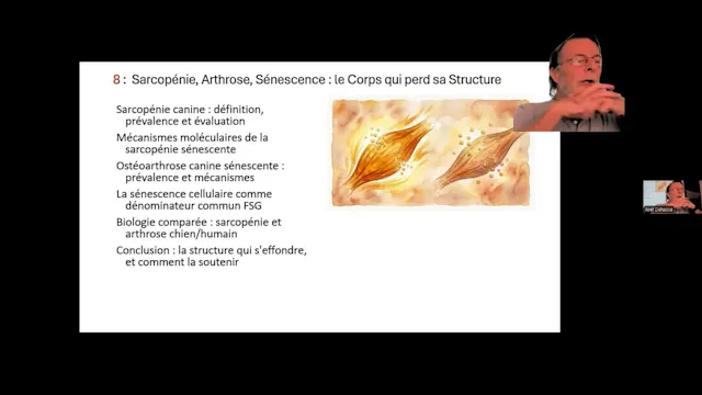 dejoue.apres.7ans (2)
