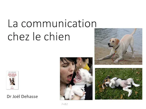 FCCC-3.24-La communication chez le chien