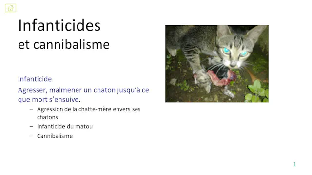 32 agression infanticide
