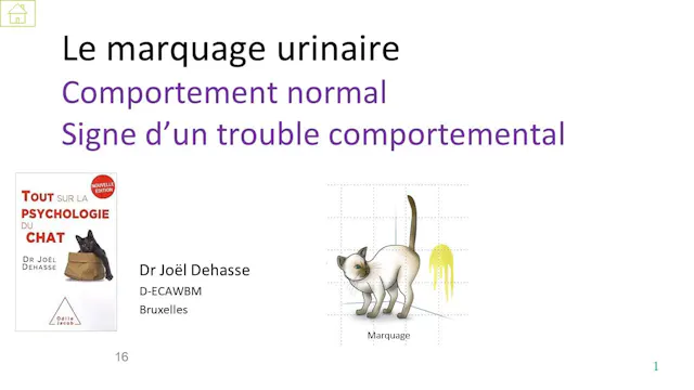 49 marquage urinaire