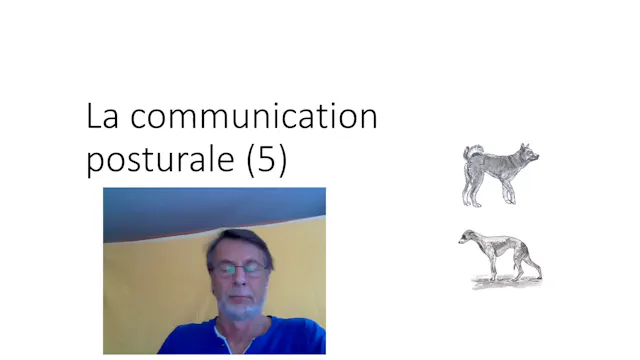 14 Com.posturale (vid) 05