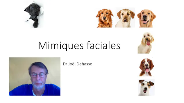 15 Com.post mimiques.faciales (vid)
