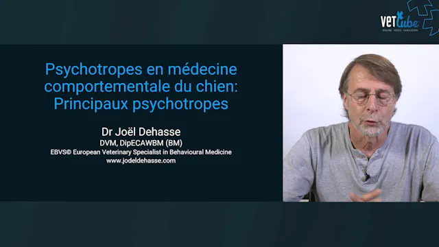 3 principaux psychotropes