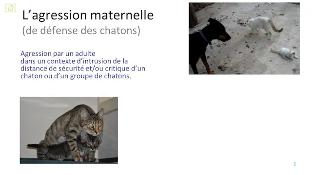 28 agrerssion maternelle