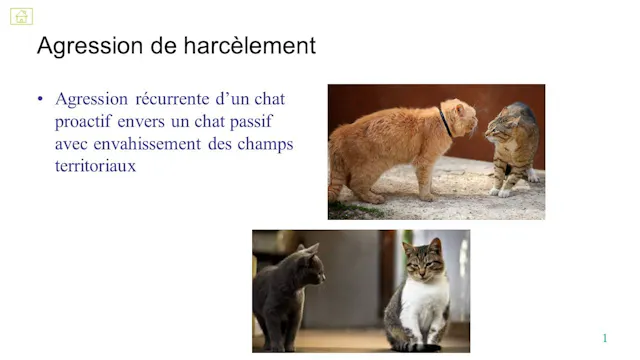 21 harcèlement