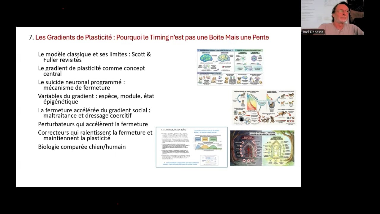 Tout se joue avant 2 ans: partie 3