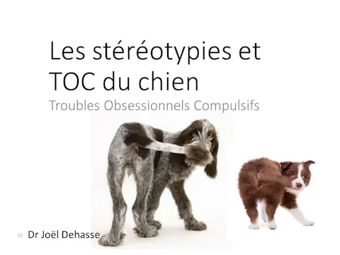 fccc5.07 - TOC
