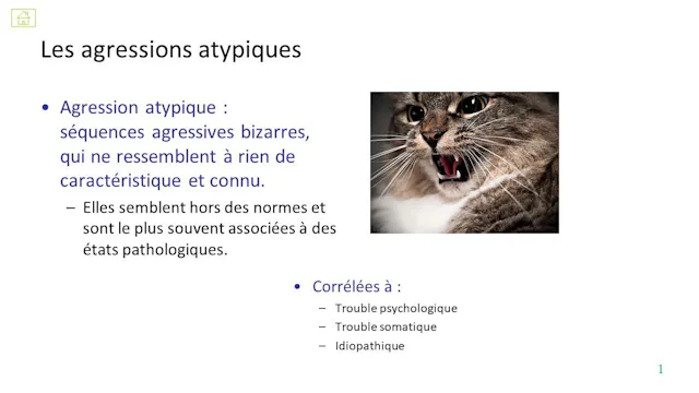 30 agression atypique