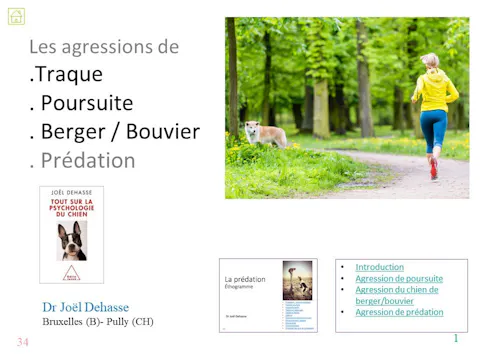 fccc4.14 - Agression de poursuite