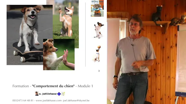 FCCC-1.02-patrons-moteurs