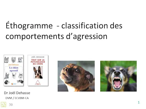 FCCC4.04 Agression éthogramme