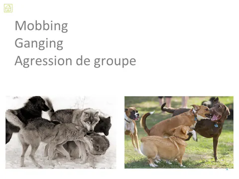 fccc4.18 - Ganging
