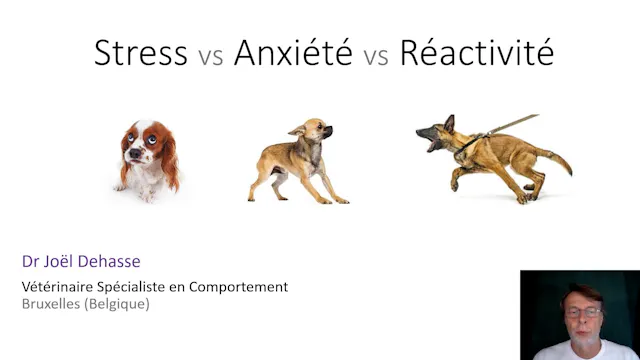 stress anxiete réactivité (version courte 65min)