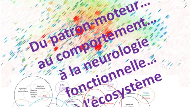 Du comportement à la neuro fonctionnelle (2024)