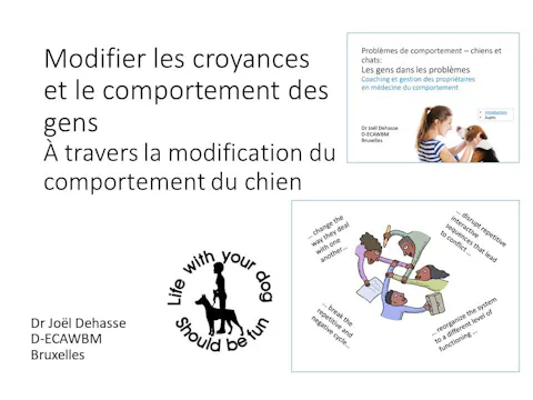FCCC-3.18-Modifier les croyances des gens