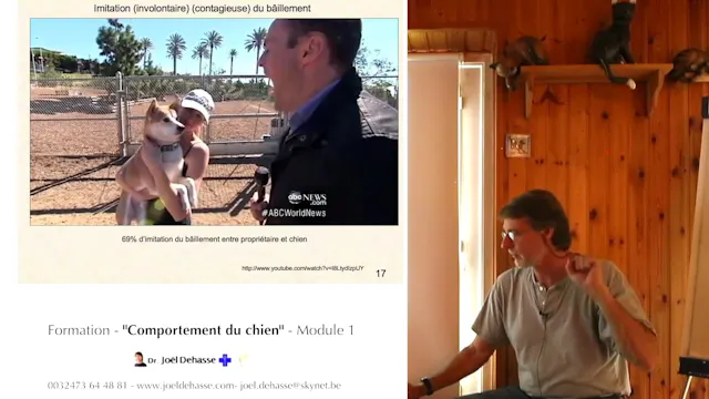FCCC-1.06-apprentissage-imitation