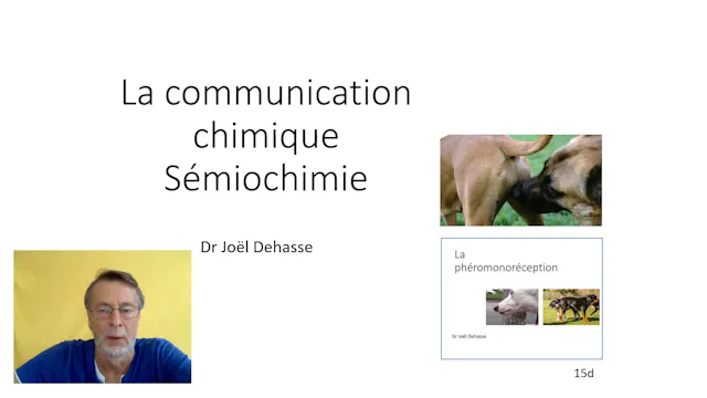 16 Com.chimique (vid)