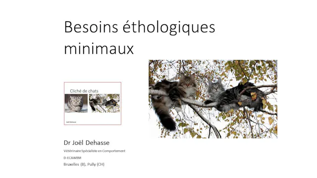 07 besoinsethologiques