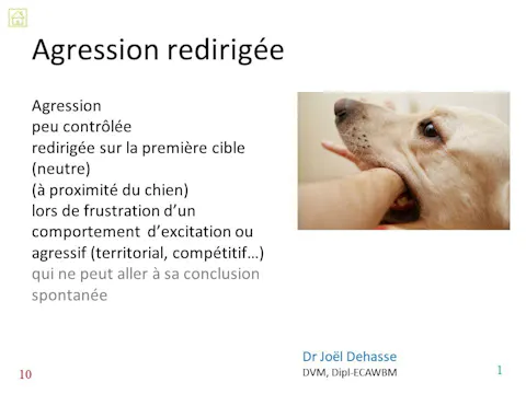 fcvcc4.17 - Agression redirigée