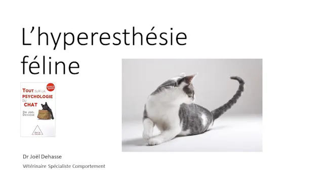 45 hyperesthésie