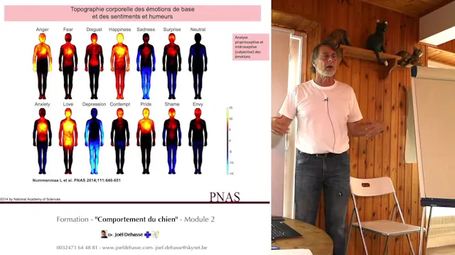 FCCC-2.3-émotions-humeurs