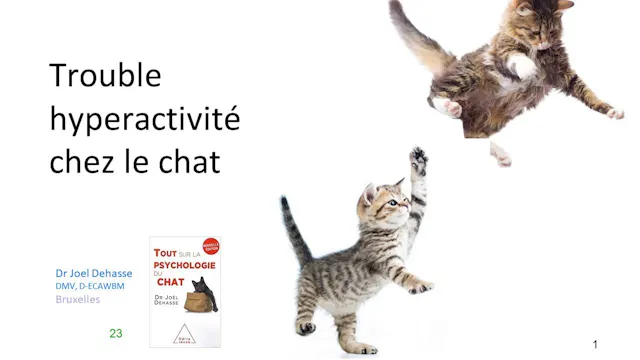 40 hyperactivité