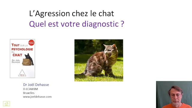 34 agression diagnostic