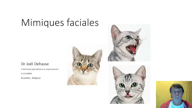 06 mimiquesfaciales
