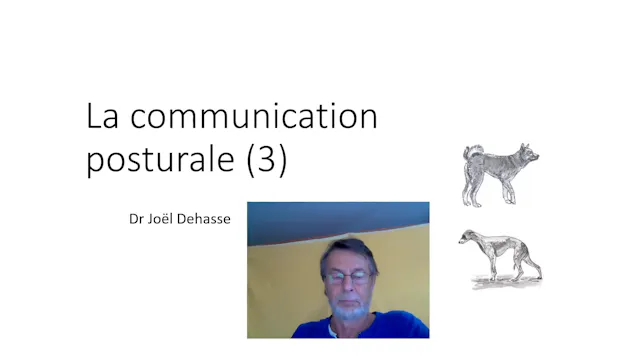 12 Com.posturale (vid) 03