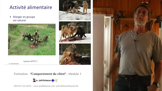 FCCC-1.11-activité-groupe